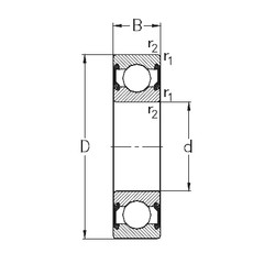 المحامل 6010-2RS2 NKE