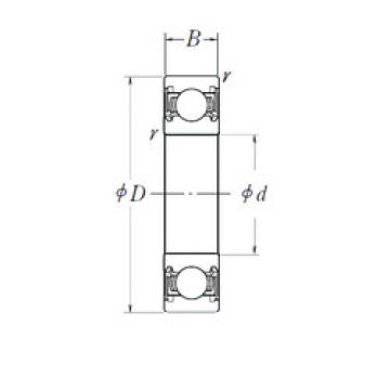 المحامل 6024DDU NSK