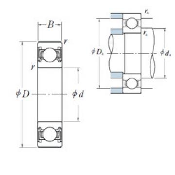 المحامل 6010VV NSK