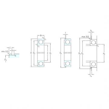 المحامل 6007N SKF