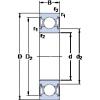 المحامل 6000-2RSLTN9/HC5C3WT SKF