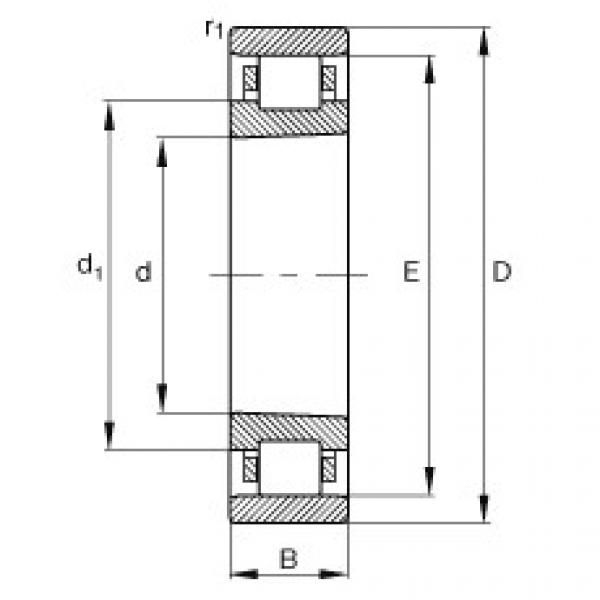 المحامل N1921-K-M1-SP FAG #1 image