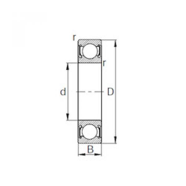 المحامل 10-2021 CYSD #1 image