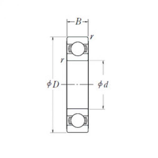 المحامل 6002L11-H-20 NSK #1 image