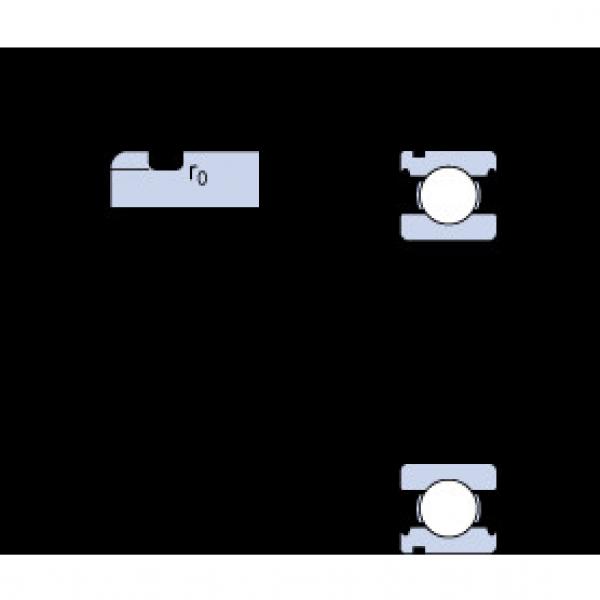 المحامل 6004 N SKF #1 image