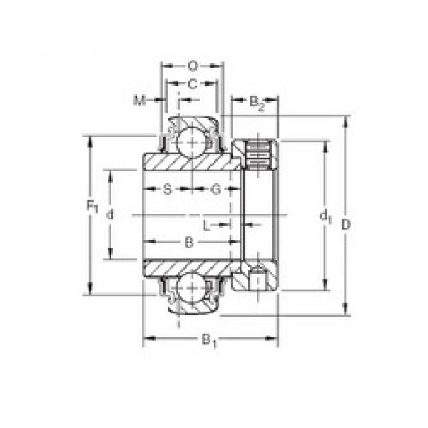 المحامل GN203KRRB Timken #1 image