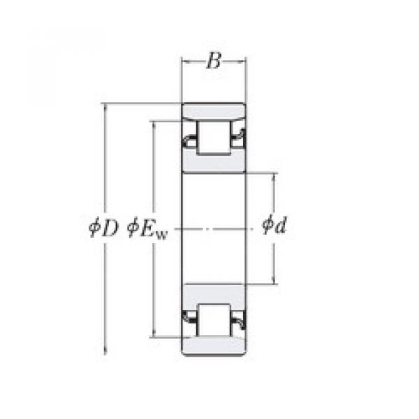 المحامل XLRJ10.1/2 RHP #1 image