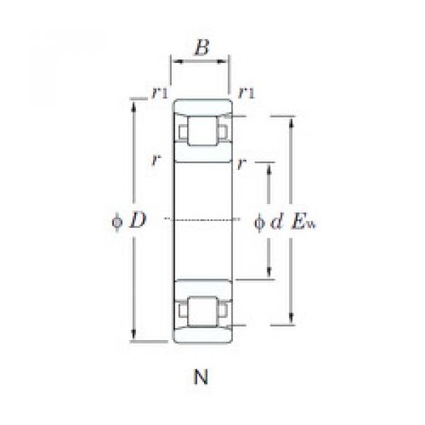 المحامل N204 KOYO #1 image