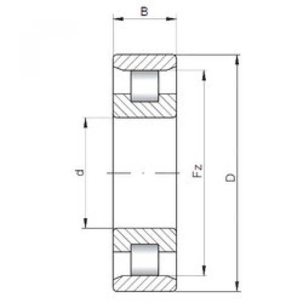 المحامل N204 E CX #1 image